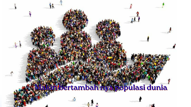 populasi dunia